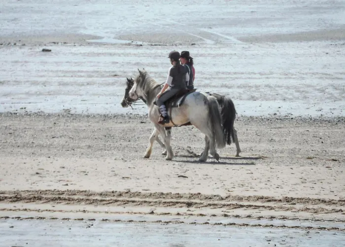 Casa vacanze Maison Charmante Près De Avec Terrasse. Chanteloup (Manche)